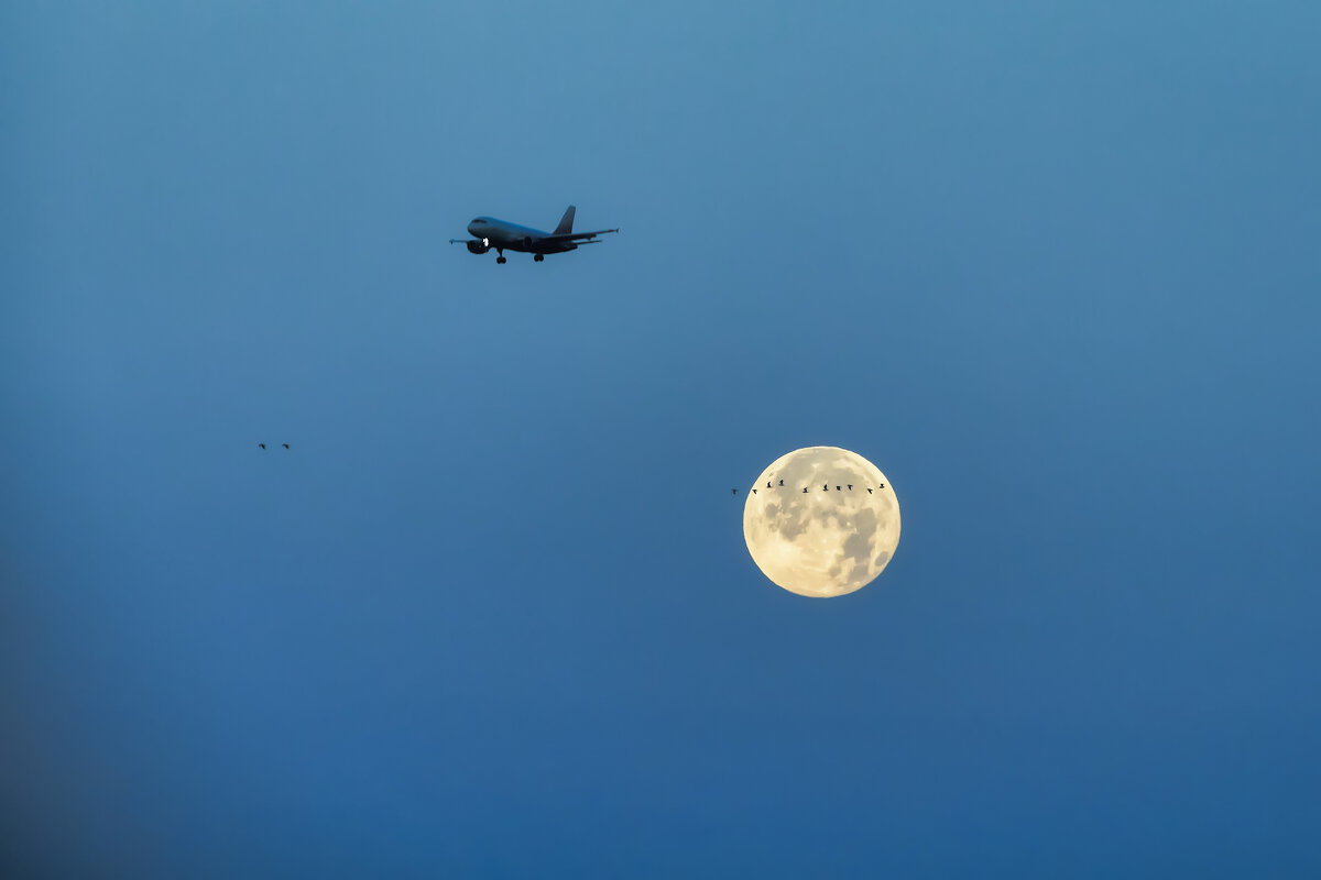 Про Питер - Владимир Колесников