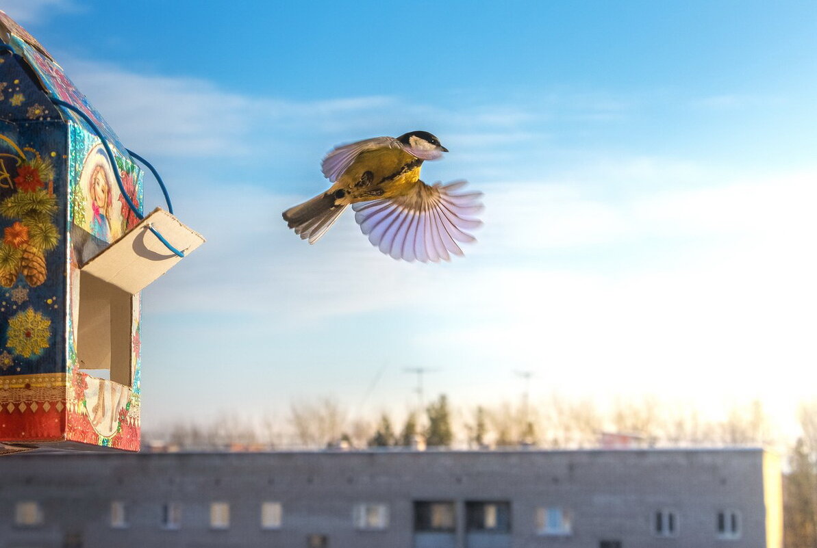 Новогодний подарок.. - Станислав ..