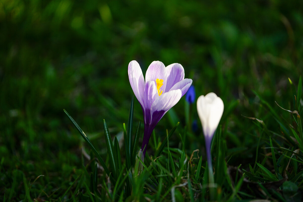 Из тени к свету - Иван Литвинов Из тени к свету - Иван Литвинов