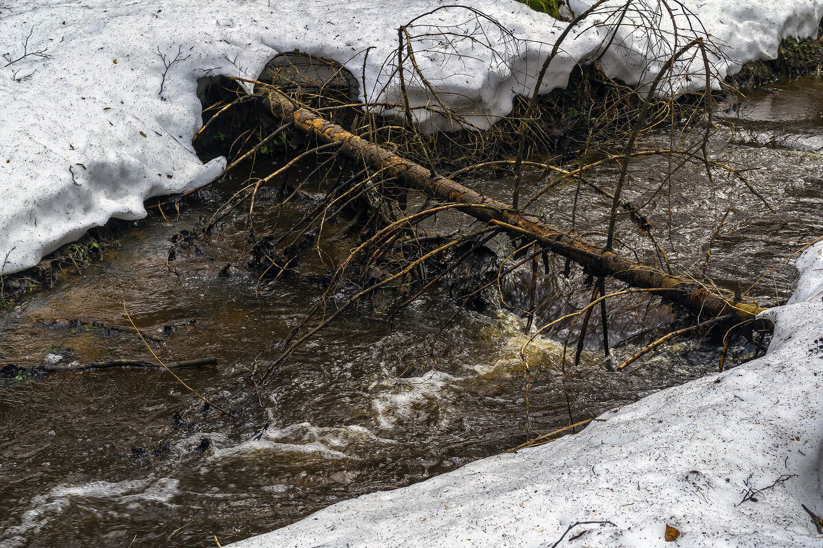 Журчащий поток - Сергей Цветков