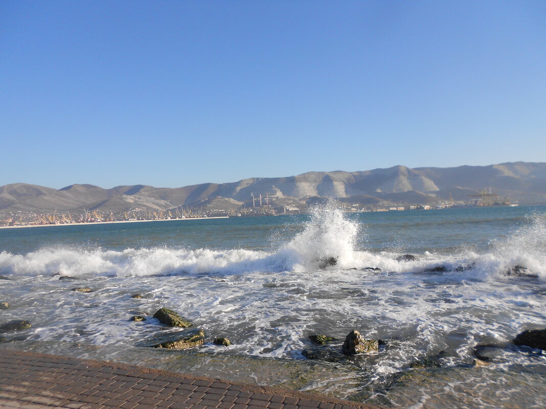 Новороссийск - Елена Шаламова