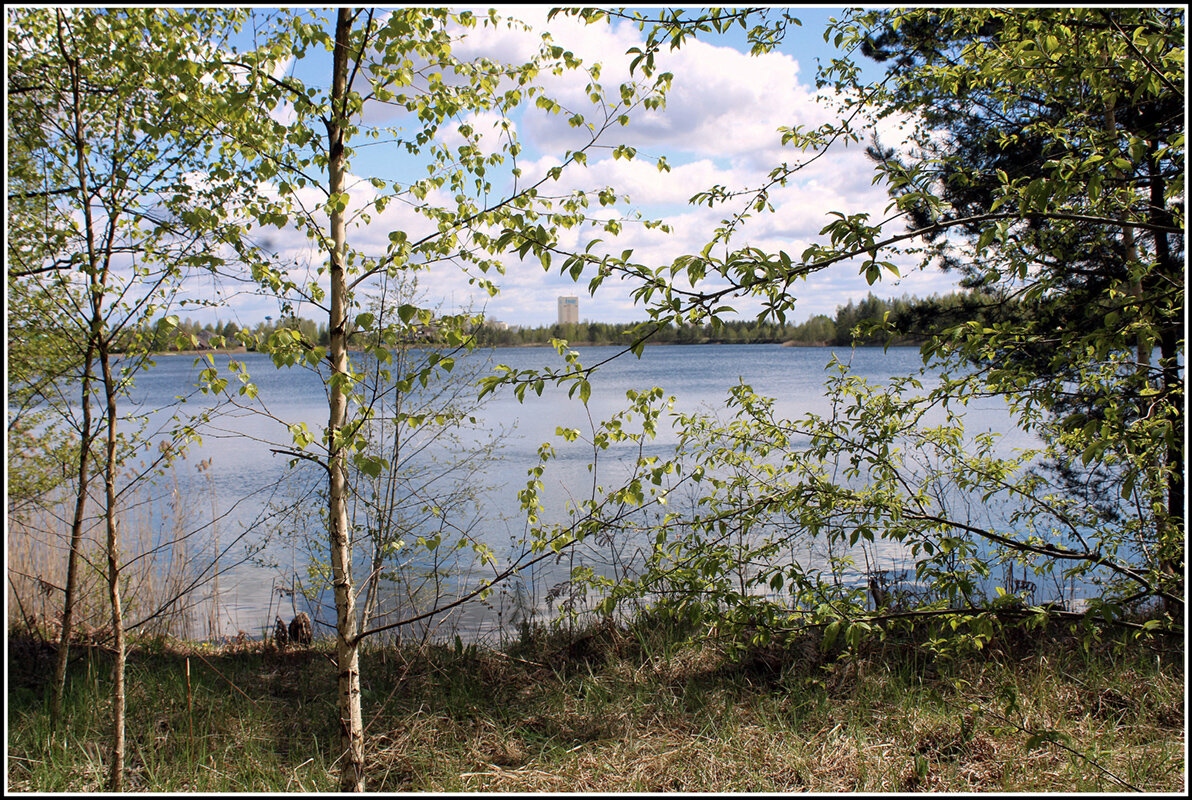 *** - Aleksandr Gal *** - Aleksandr Gal