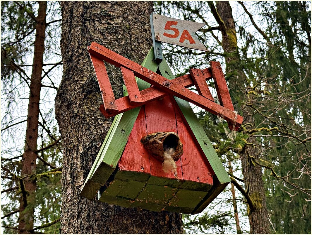 В лесу. - Валерия Комова В лесу. - Валерия Комова