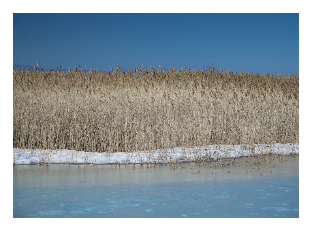 * - Александр Иванов