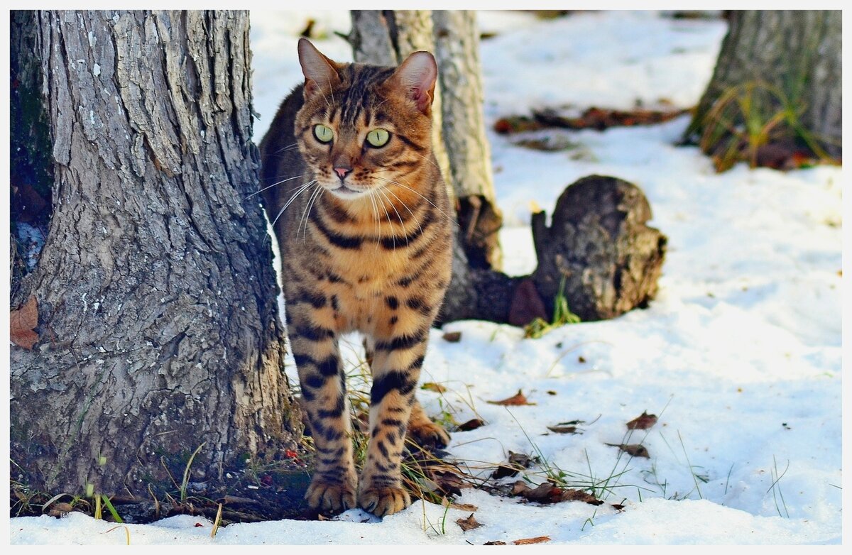 Что там такое? - Михаил К