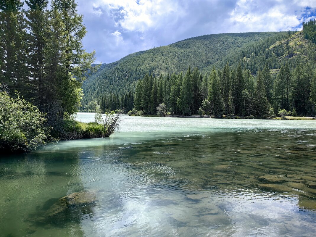 Слияние рек Бара и Аргут - Галина Козлова 