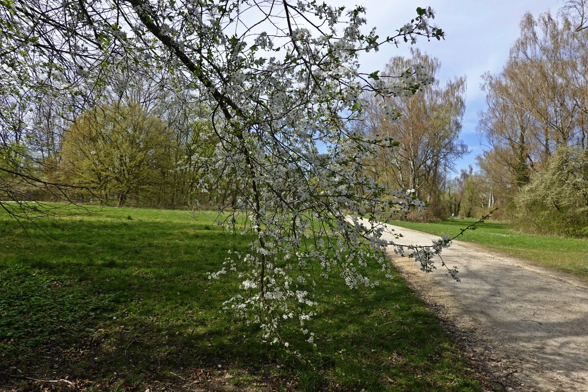 Апрельские зарисовки... - Галина Апрельские зарисовки... - Галина