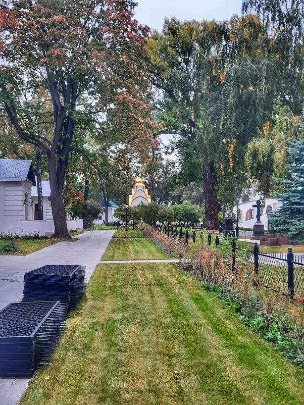 В Новодевичьем монастыре - Irene Irene