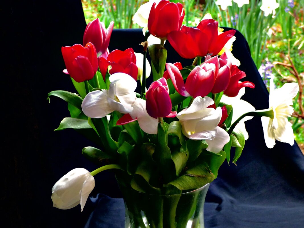 ВЕСЕННИЕ ЗАРИСОВКИ - Елена Куприянова 