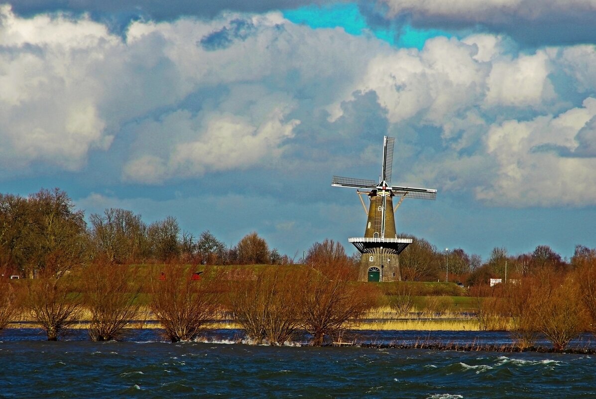 Весна на Рейне - В.И 