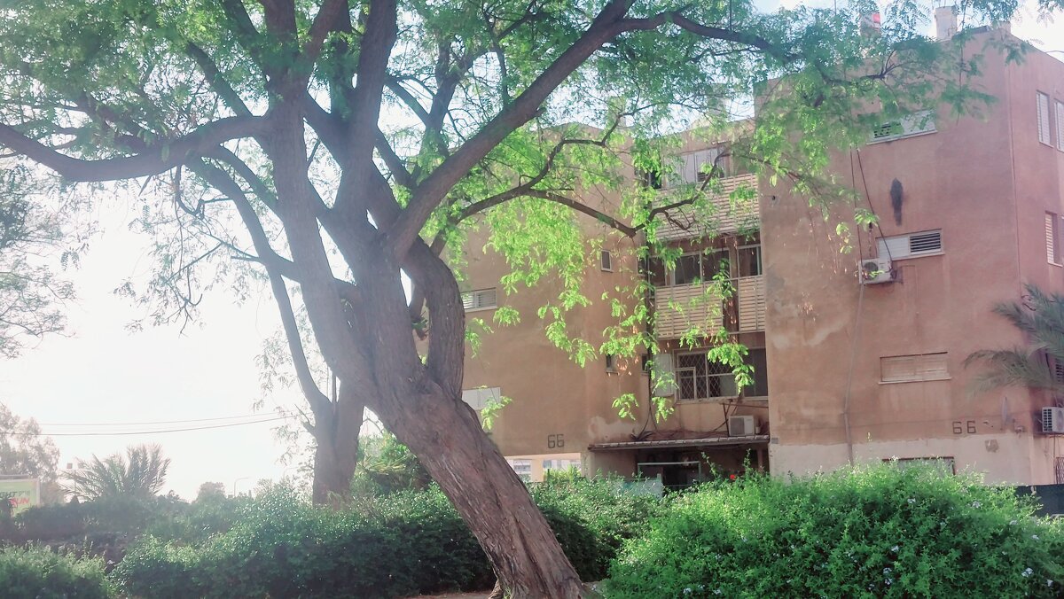 14  КЛОС (127) - CLOSE WAYS ALL