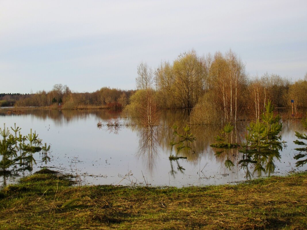 Половодье - Наталья *** Половодье - Наталья ***