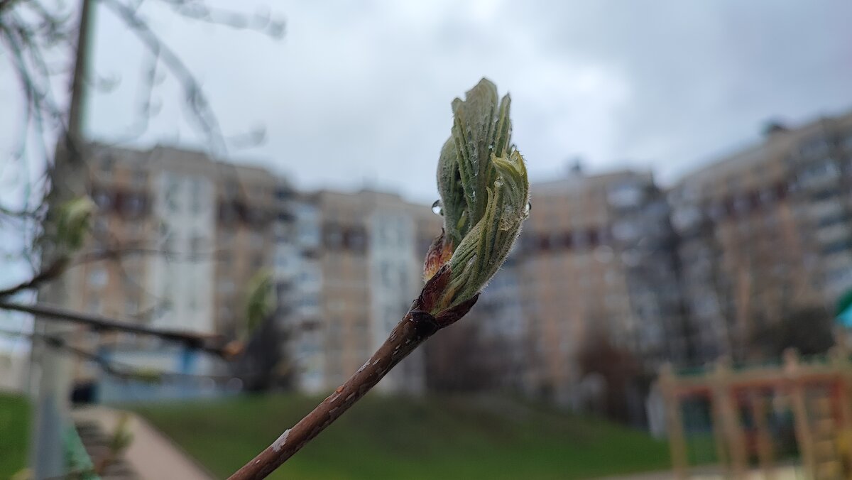 ,,, - Сергей Тимоновский