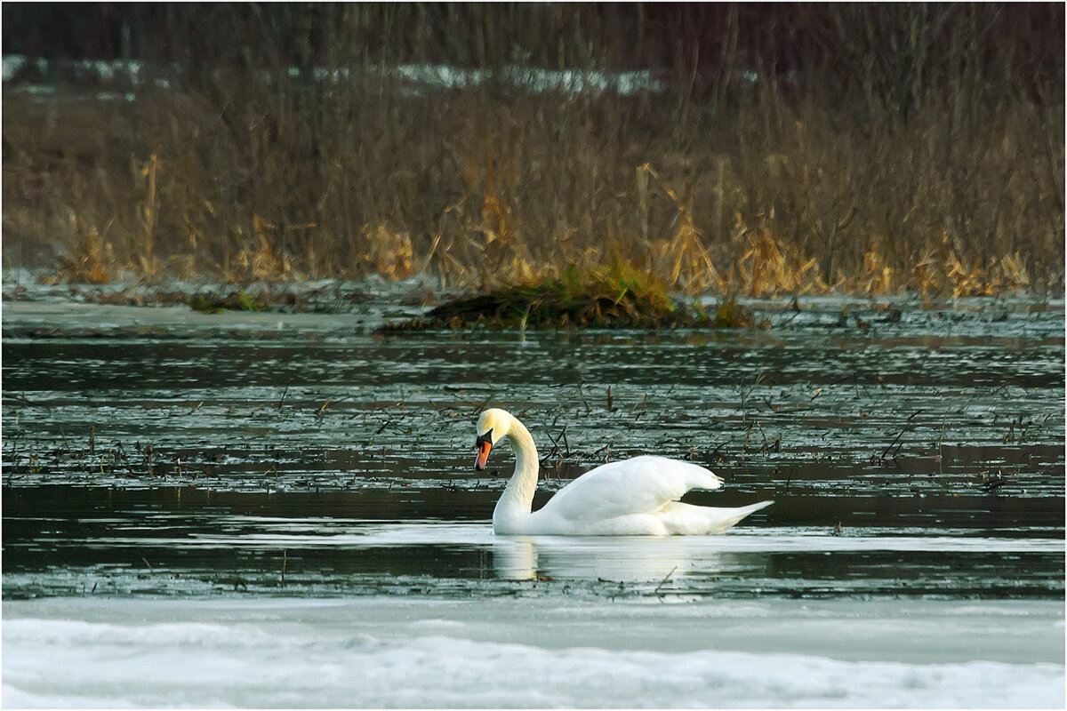 Весенний этюд - Валентин Котляров Весенний этюд - Валентин Котляров
