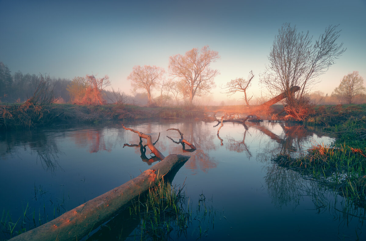 «Луч солнца золотого...»© - Roman Lunin