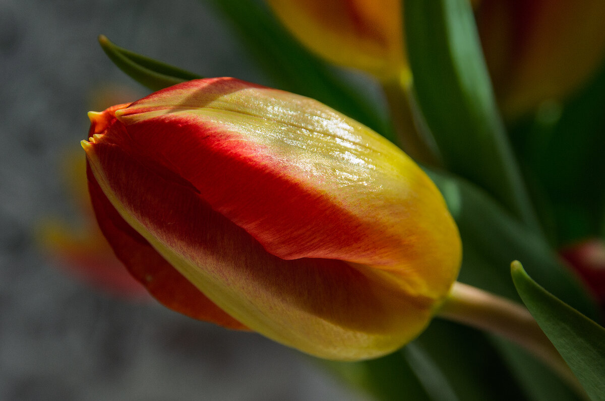 *** - Виктор Иванович Чернюк