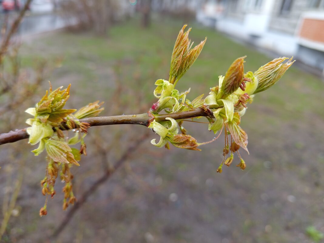 Примета апреля - Андрей Лукьянов