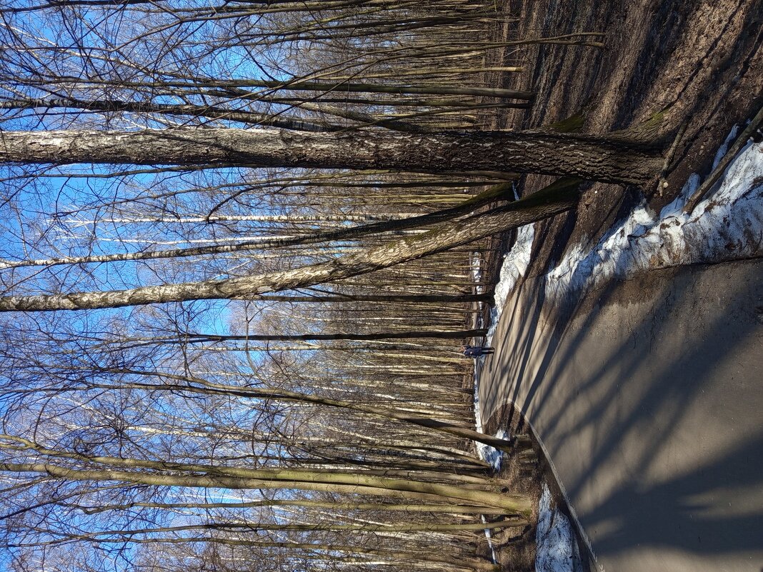 Еще недопоказанное в марте - Андрей Лукьянов