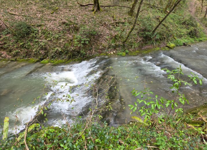 Река Бешенка - Tata Wolf