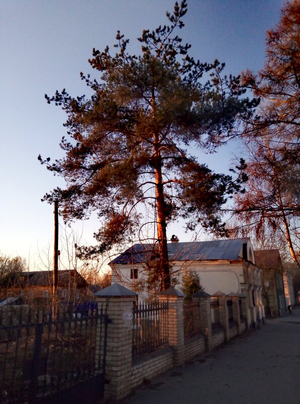 Весенний вечер - Сергей Кочнев