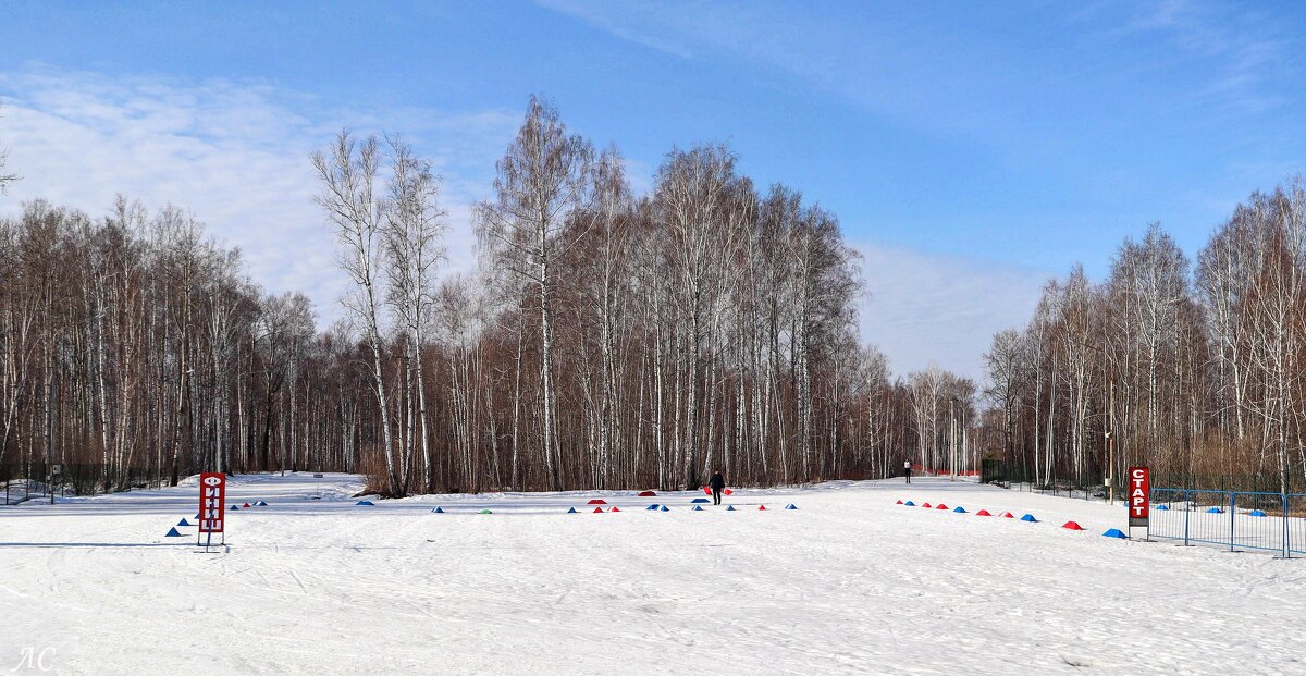 Лыжная трасса к марафону готова - Любовь Сахарова
