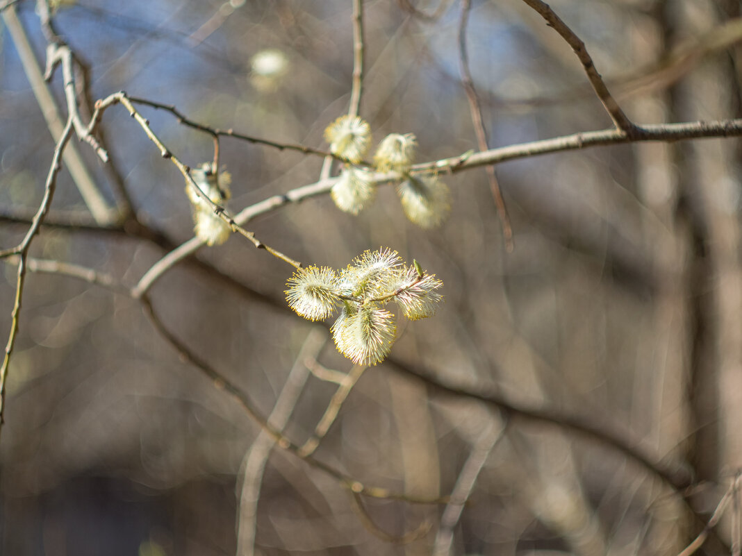 ___ - Yuriy V ___ - Yuriy V