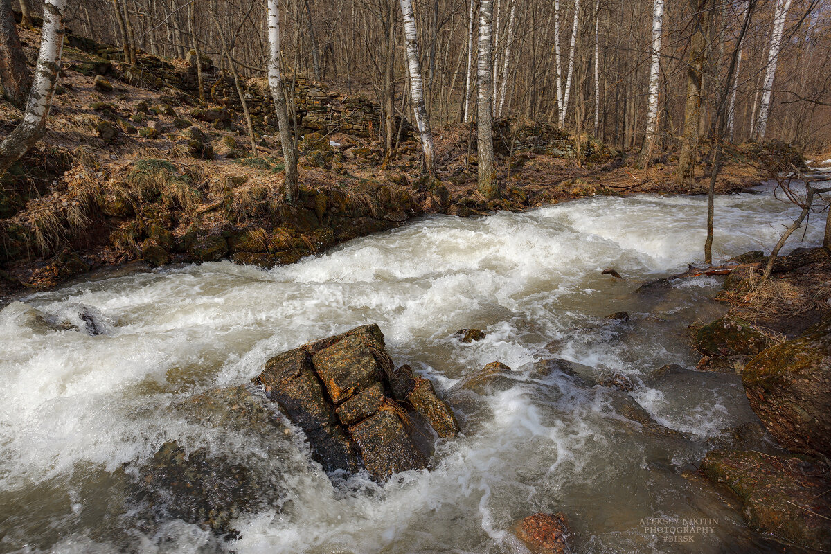 Весенний ручей - NikitinAleks 