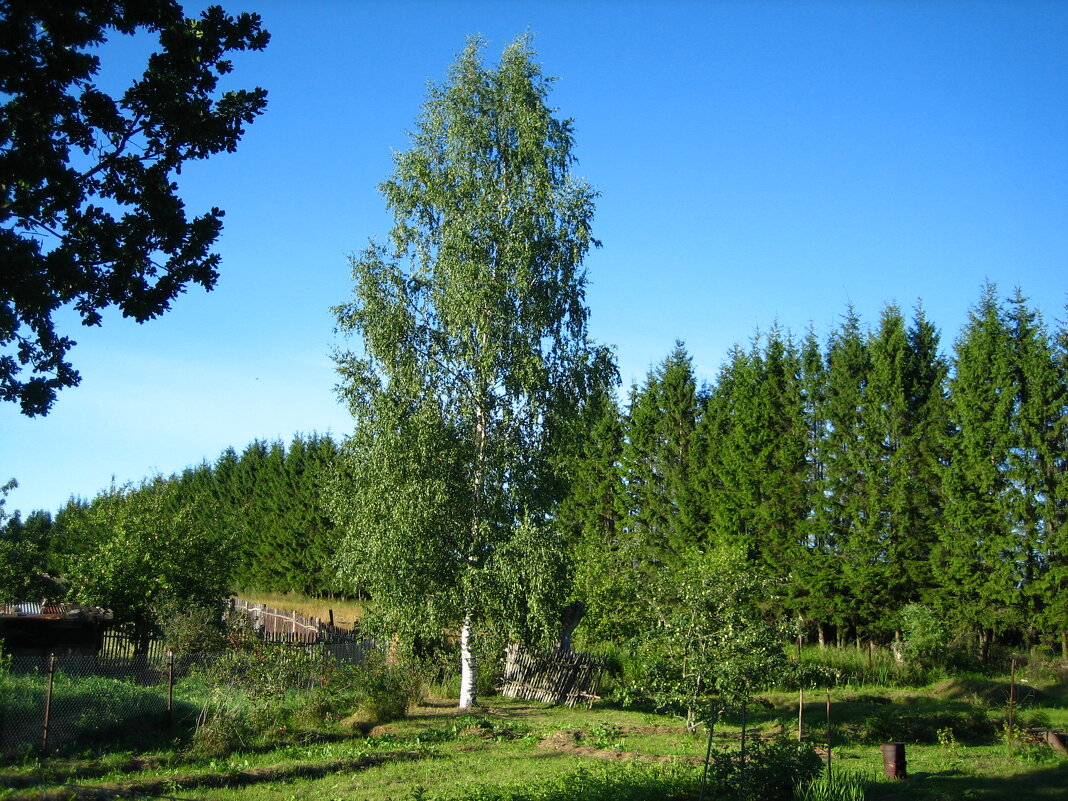 д.Белошкино - Артем 