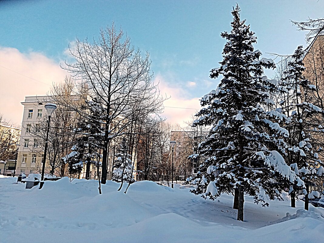 Зима. - Владимир Драгунский