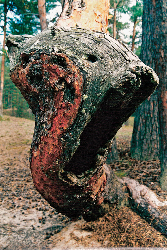 *** - Алексей Смирнов