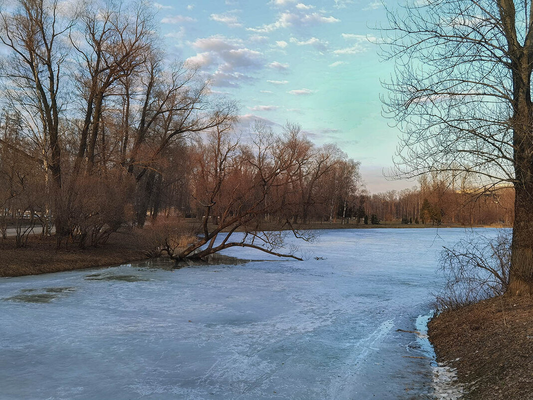Весенние зарисовки в парке Победы. - Лилия *