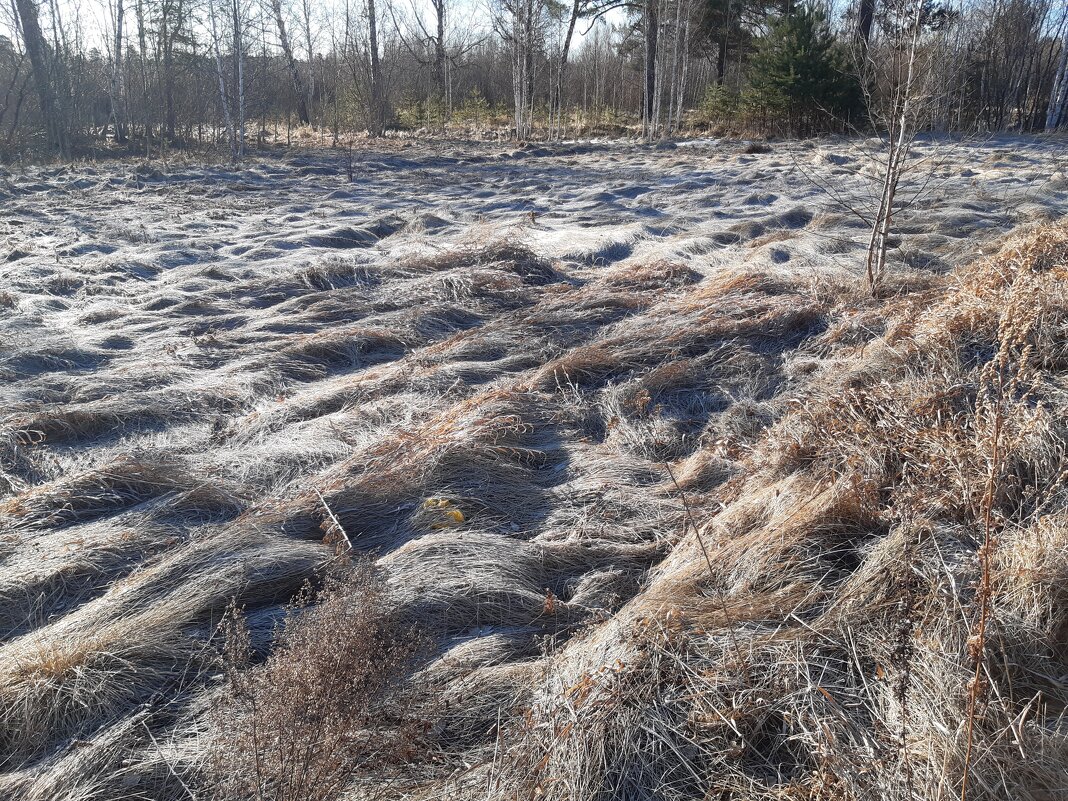 Весна идёт, весне дорогу... - Галина Минчук Весна идёт, весне дорогу... - Галина Минчук