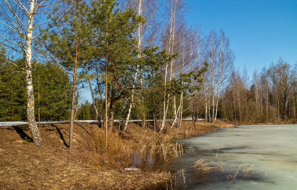 На исходе марта 8 - Андрей Дворников