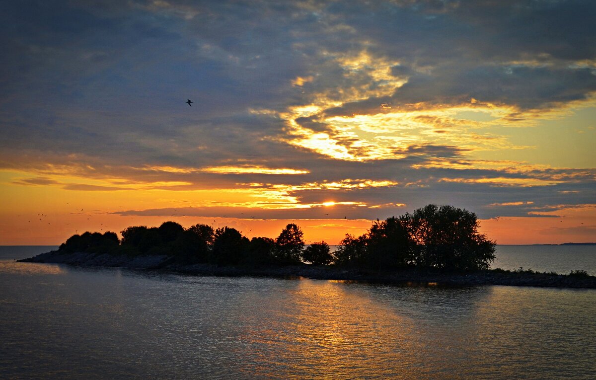 Островок - В.И 