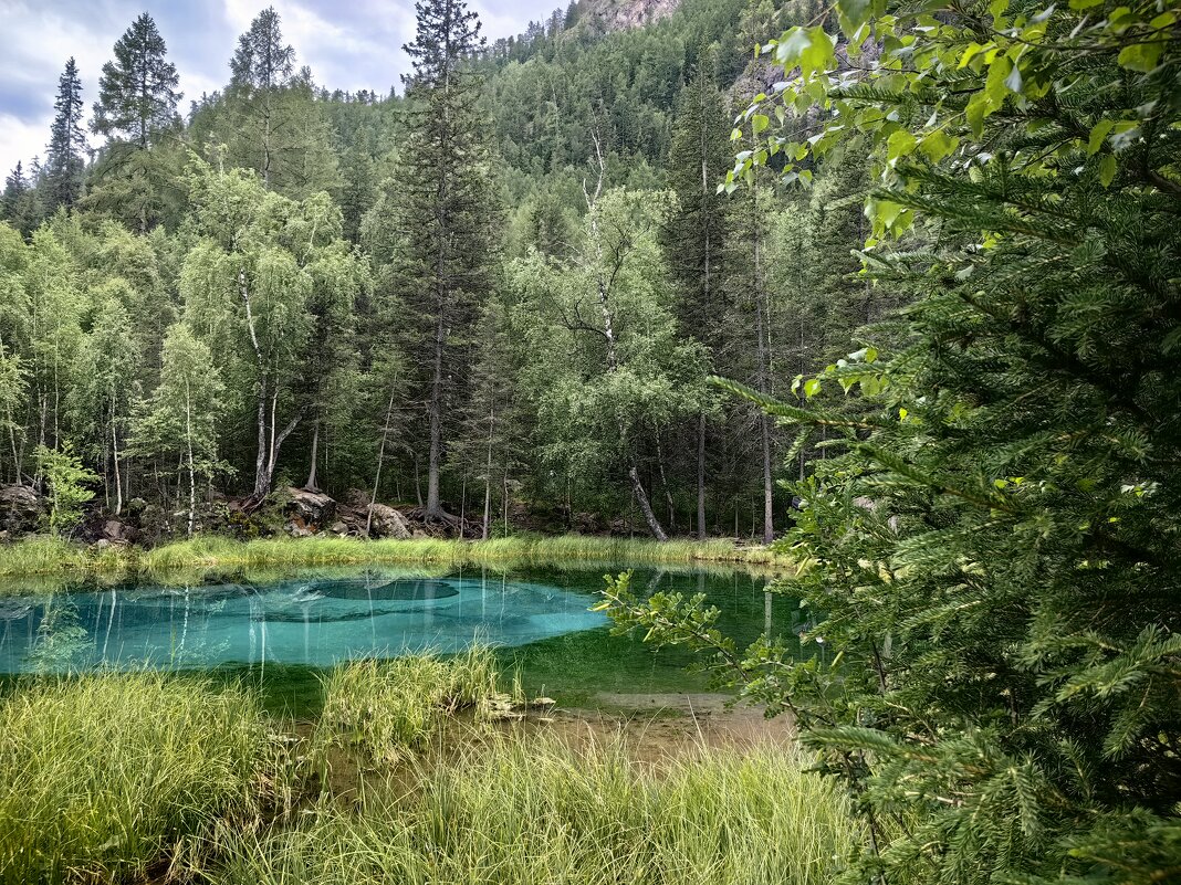Озеро Мёны - Галина Козлова 