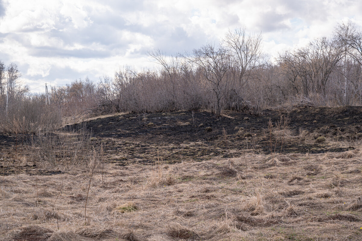 ,,, - Сергей Яковлев