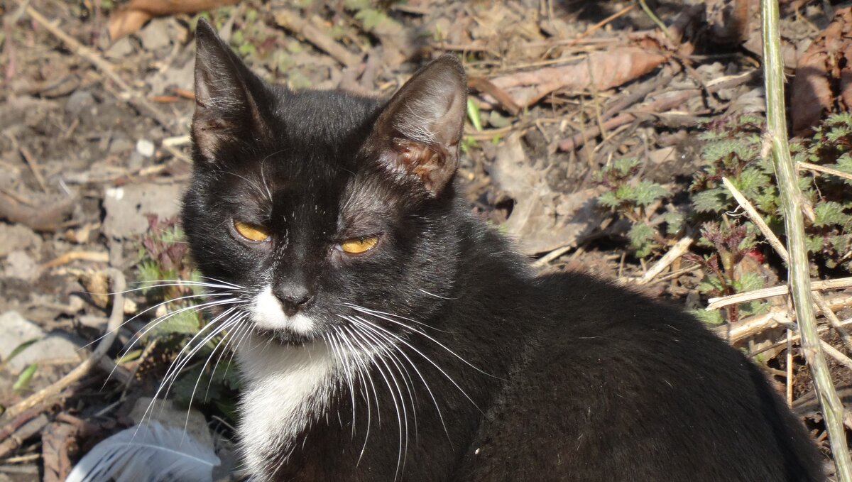 Какие вопросы? - kudrni Кудрявцева