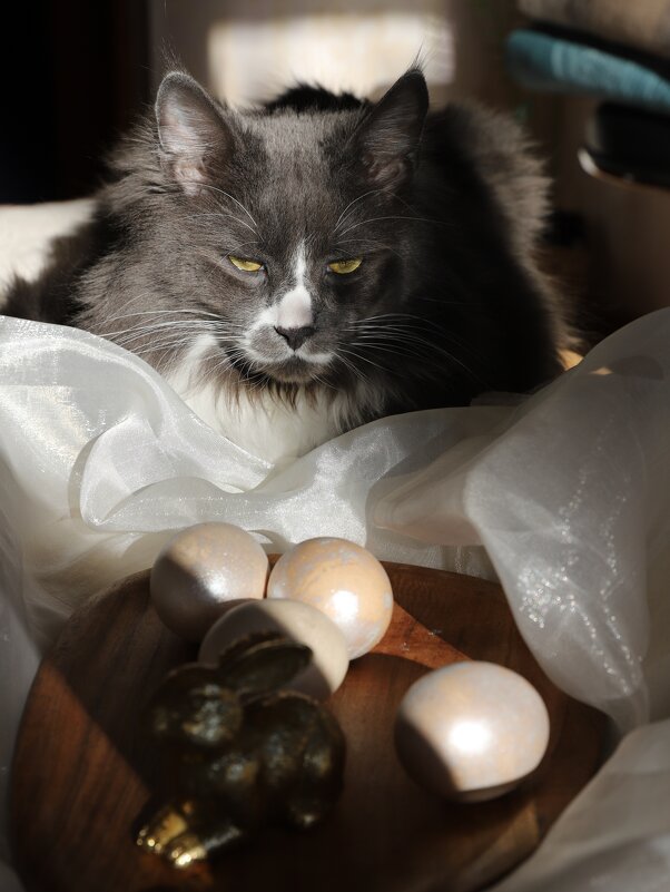 С Пасхой! - Natali 