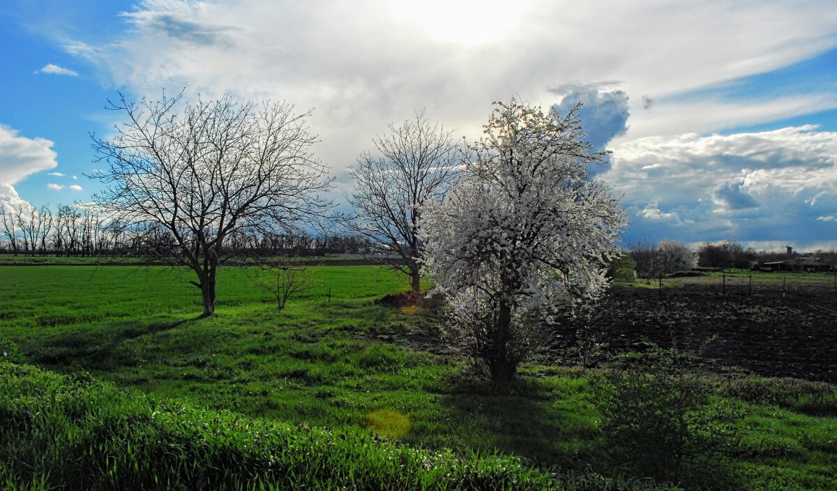 Весна. - Владимир 