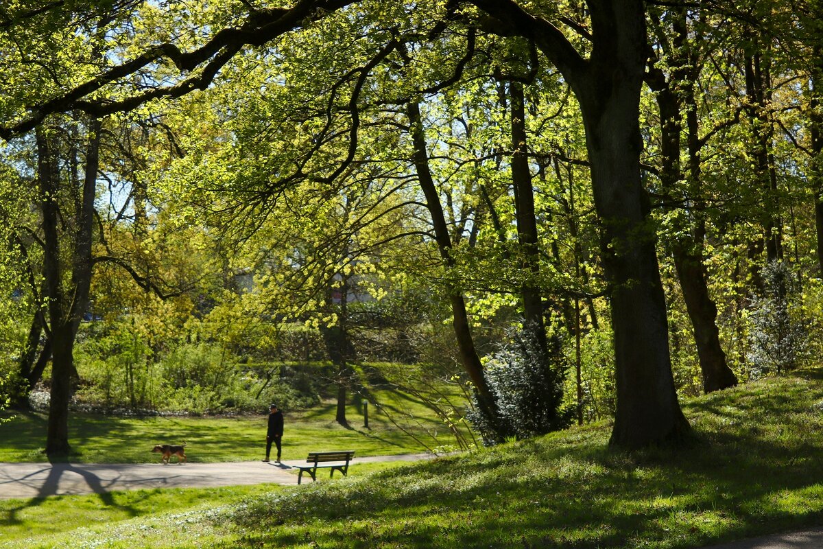 Апрельском утром - Юрий. Шмаков