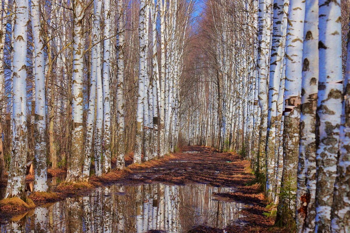 весна - Владимир иванов
