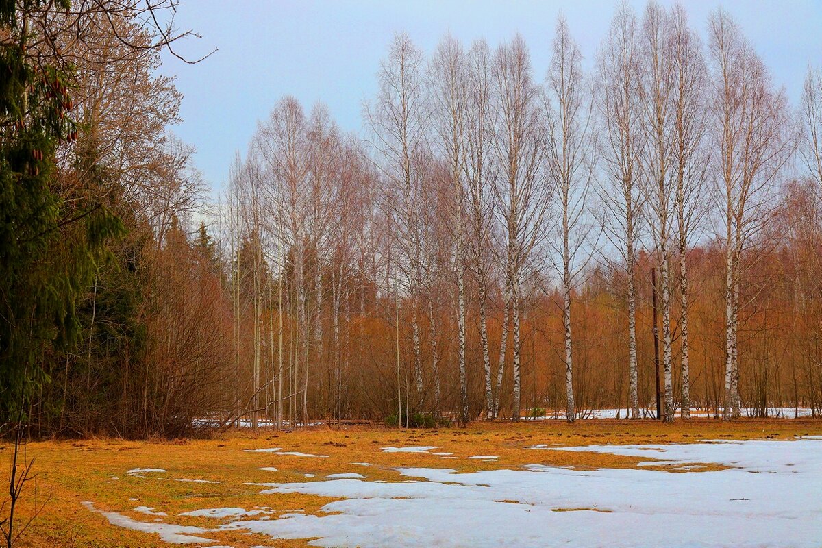 весна - Владимир иванов