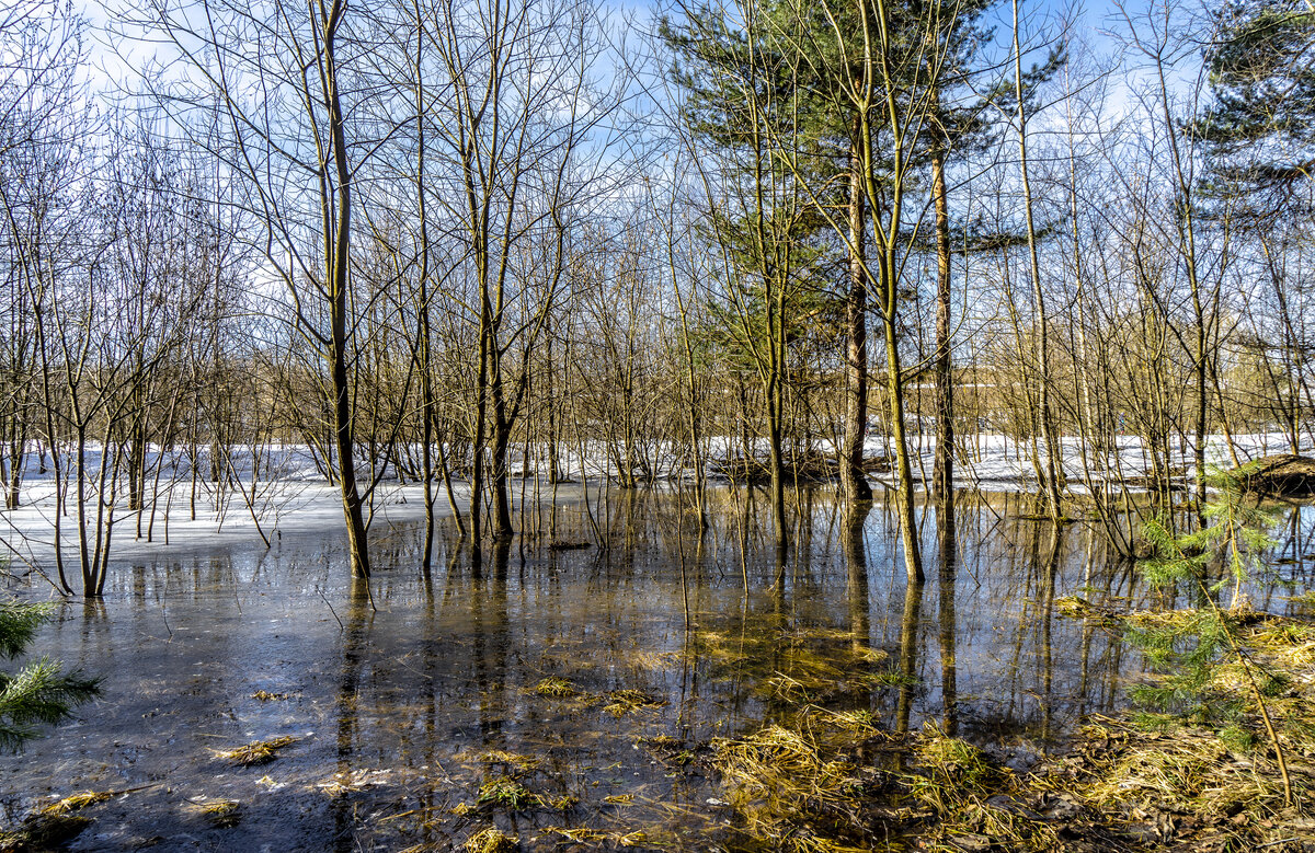 Март. Весна - Владимир Езеров Март. Весна - Владимир Езеров