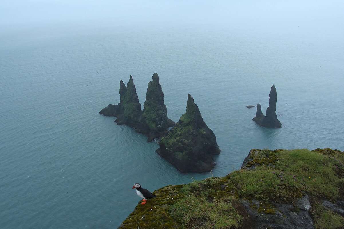 Морские скалы Рейнисдрангар, Исландия. - unix (Илья Утропов) Морские скалы Рейнисдрангар, Исландия. - unix (Илья Утропов)