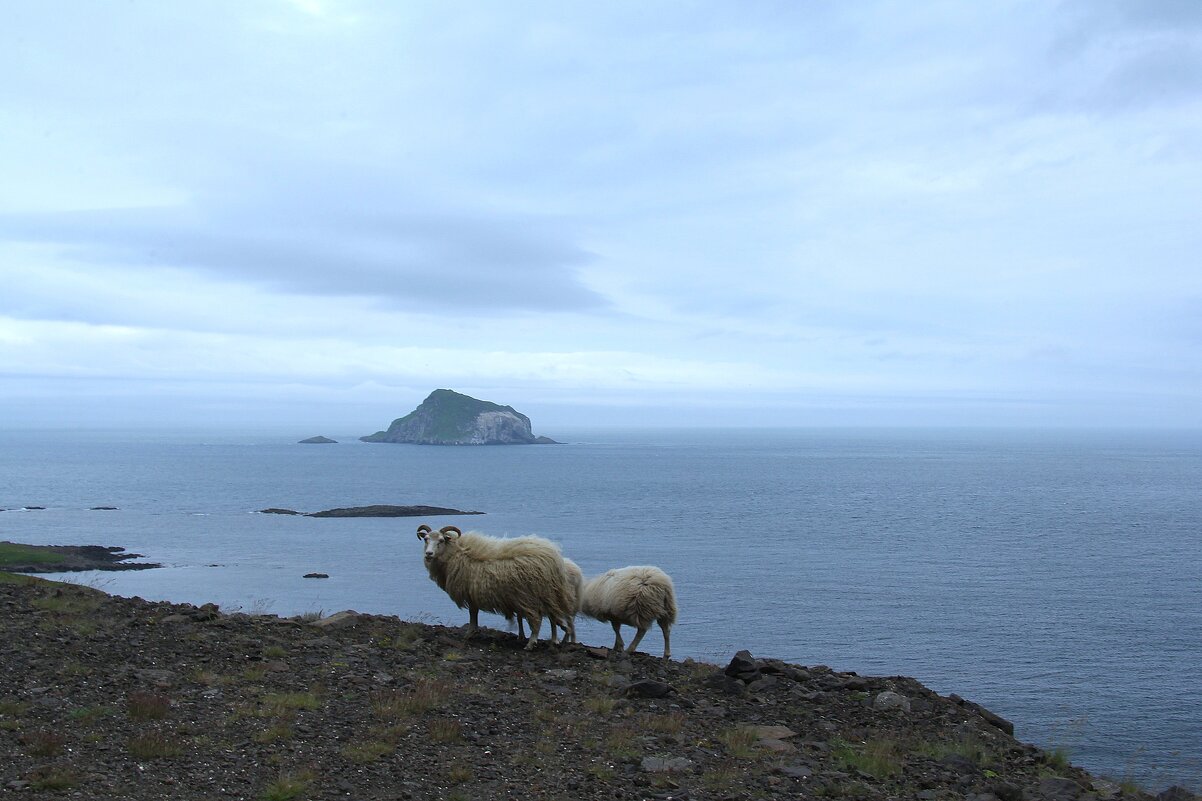 Кусочек пасмурной Исландии. - unix (Илья Утропов)