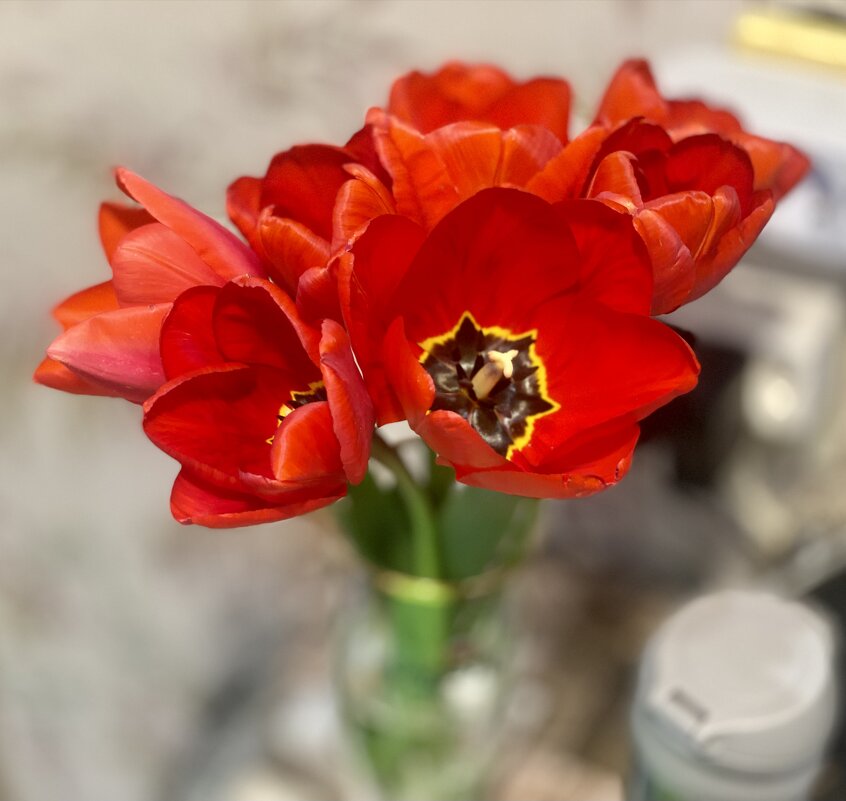 Светлый праздник - Alexey YakovLev Светлый праздник - Alexey YakovLev