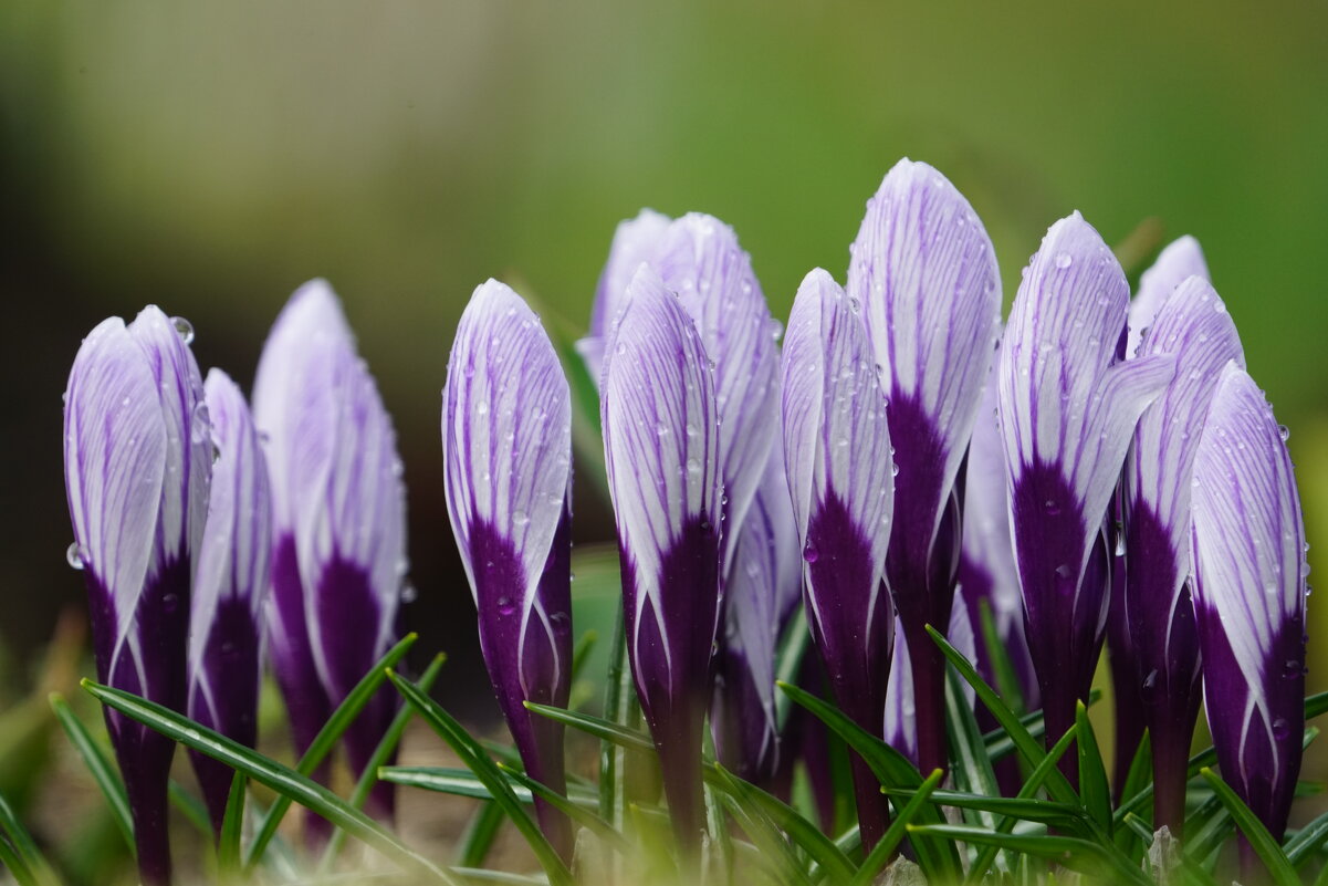 После дождя — только нежность - Иван Литвинов После дождя — только нежность - Иван Литвинов