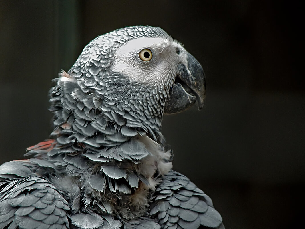 Кипяти воду, Жора... - Valziwa Кипяти воду, Жора... - Valziwa
