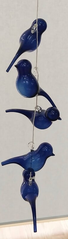 ...... - Murat Bukaev 