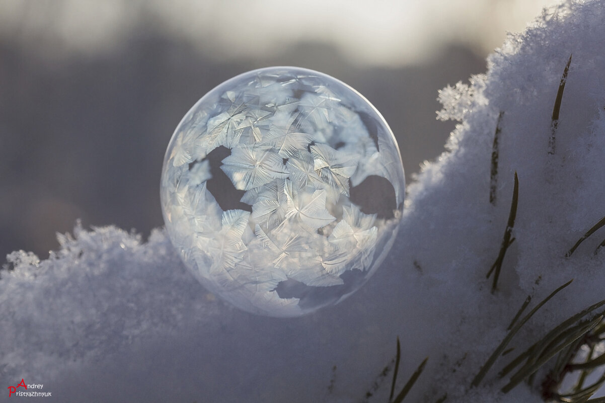 Мыльный пузырь с узорами - Андрей Пристяжнюк Мыльный пузырь с узорами - Андрей Пристяжнюк